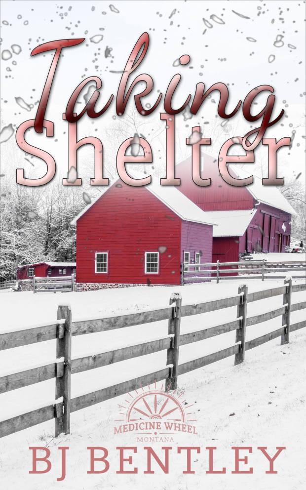 Taking Shelter ebook cover